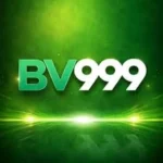 BV999 Game